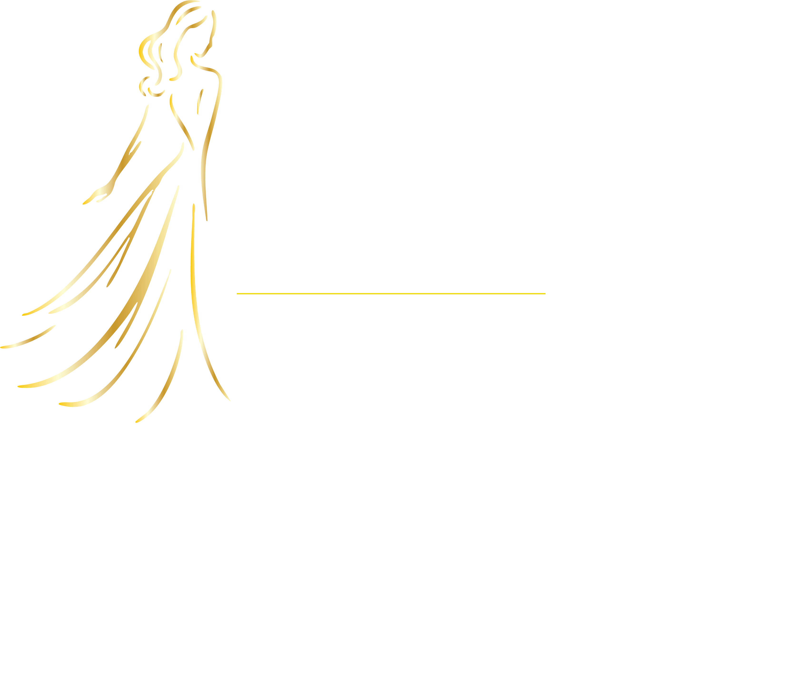 VM Bonique